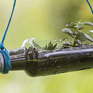 A recycling gardening workshop with plastic bottles and plants