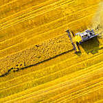 Aerial view of a combine harvester in a golden wheat field.