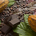 Cocoa composition with two real cacao fruits, cacao leaves, nibs and dark chocolate chunks in the center, showing the different stages of chocolate. 