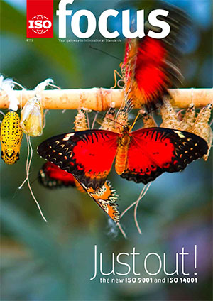 Red butterfly and caterpillars in cocoons 